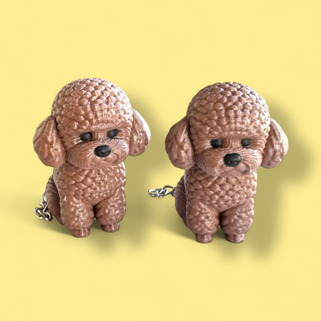 Kıvırbaş🐩✨