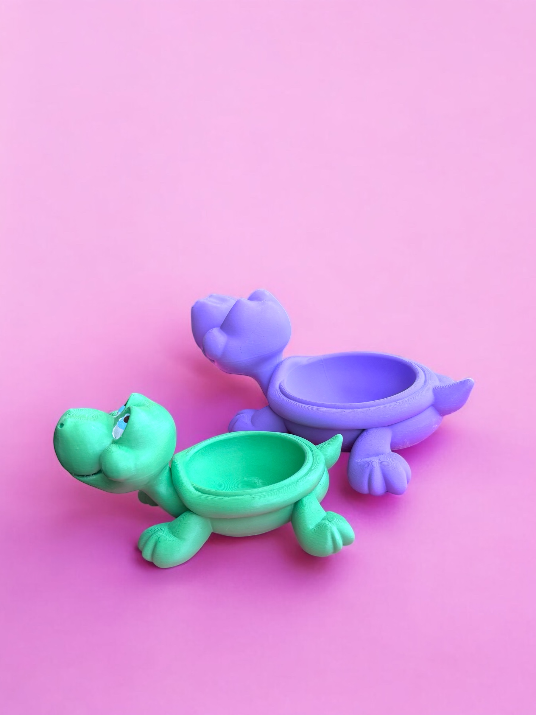 🐢Turtini - Görsel 3