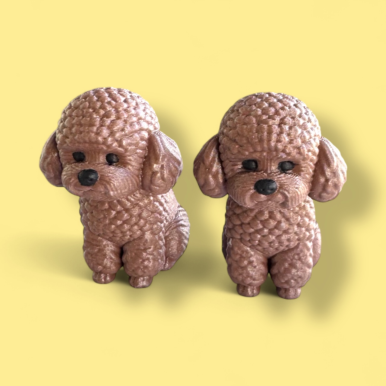 Kıvırbaş🐩✨ - Görsel 4