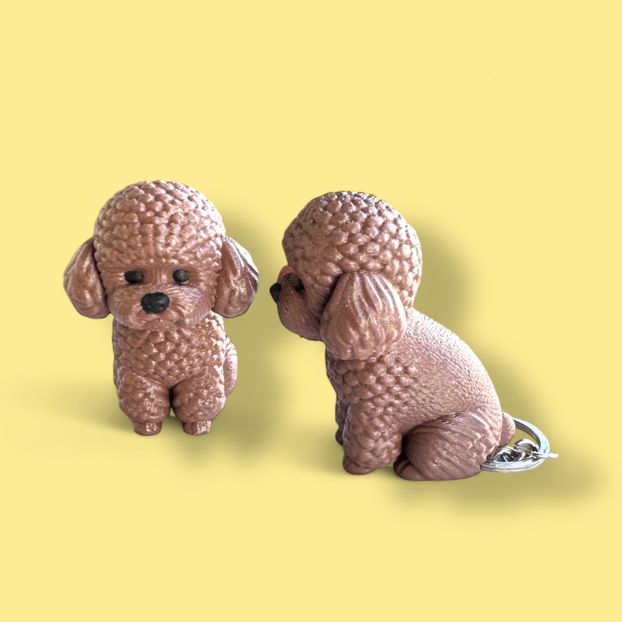 Kıvırbaş🐩✨ - Görsel 2